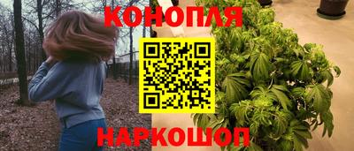 гашик Сланцы