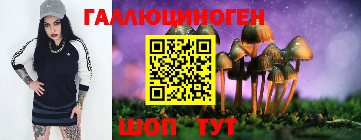 Галлюциногенные грибы прущие грибы Мелеуз
