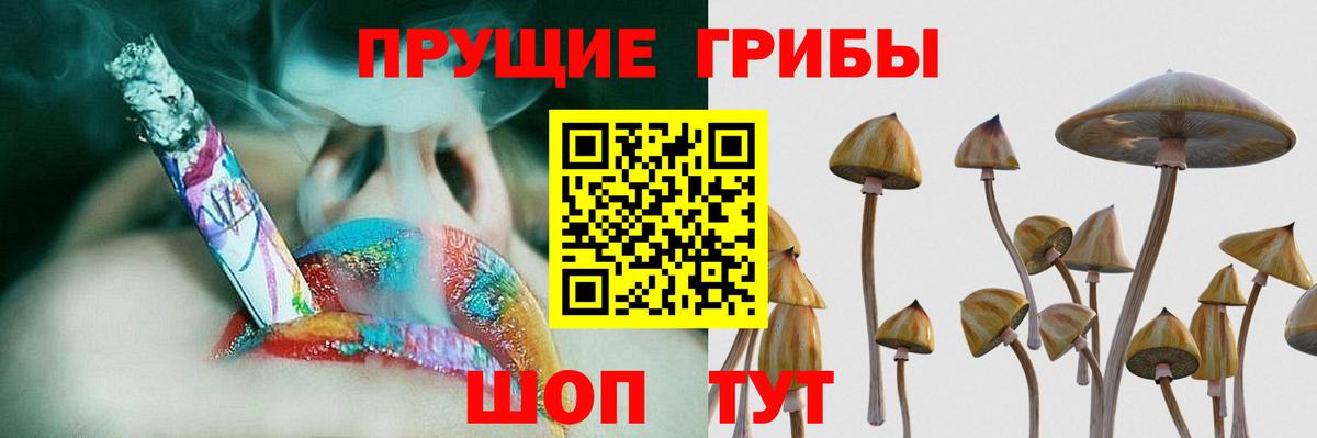 Галлюциногенные грибы мухоморы  Вход с VPN  Мелеуз 